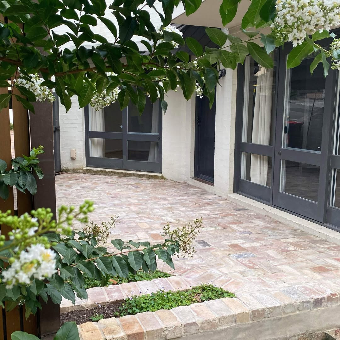 Shaded courtyard between plastered walls with rough planting and stone paving